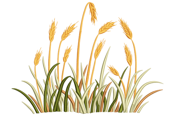 Wheat Grass: A Designer’s Review for Personalized Gifts